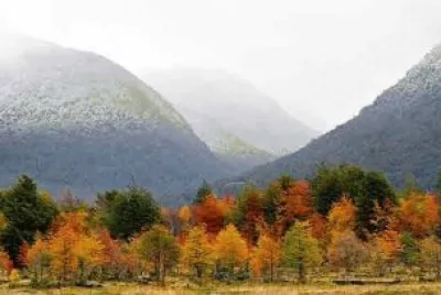 nevando en los cerros jigsaw puzzle