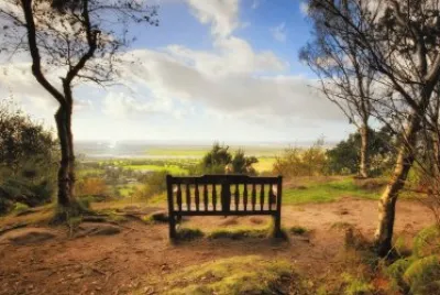 NÂº 480 jigsaw puzzle