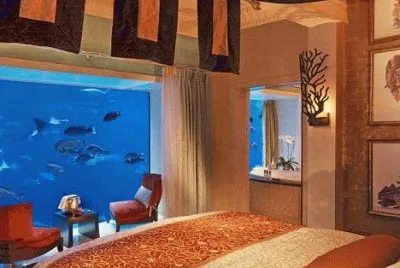 019è¨­è¨ˆè£æ½¢