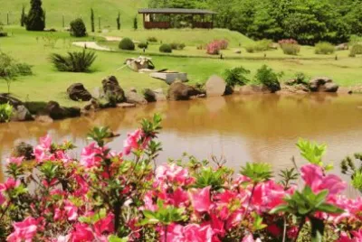 Pq JapÃ£o jigsaw puzzle