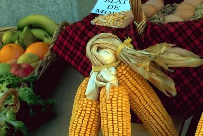 Fira de la tardor jigsaw puzzle