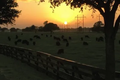 paisajes jigsaw puzzle