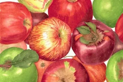 Apples jigsaw puzzle