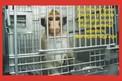 NACÃ LIBRE. jigsaw puzzle