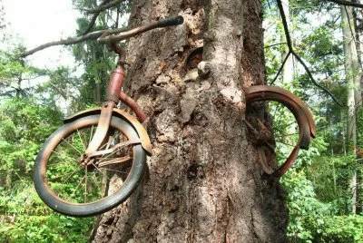 Natural jigsaw puzzle