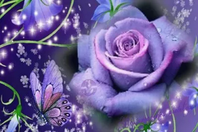 fantasia jigsaw puzzle