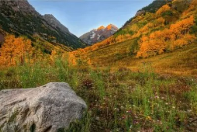 NÂº 307 jigsaw puzzle