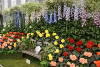 flores jigsaw puzzle