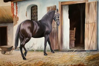cavalo