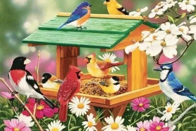 Birds jigsaw puzzle
