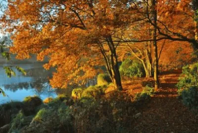 NÂº 311 jigsaw puzzle