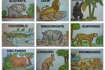 ANIMALES DEL MUNDO