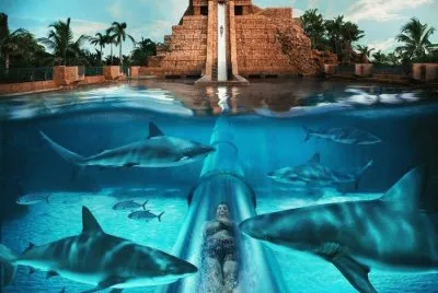 lindo jigsaw puzzle