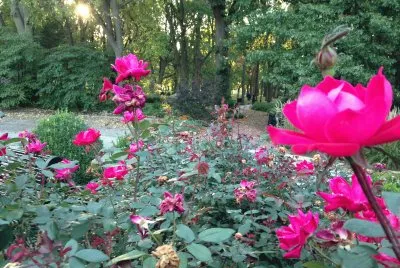 Kankakee Illinois Museum