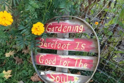 Perry Farms Bourbonnais Illinois