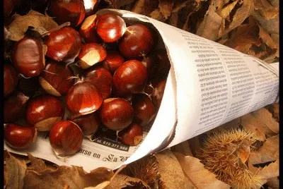 פאזל של Castanyes