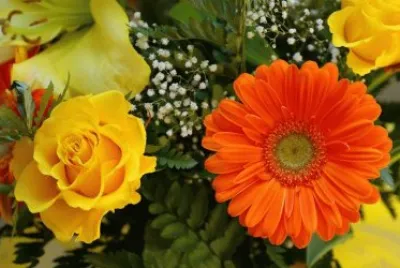 פאזל של Bouquet Flowers