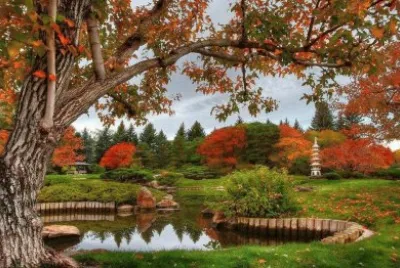 פאזל של NÂº 326