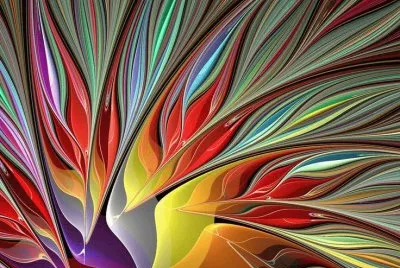 Bird-of Paradise