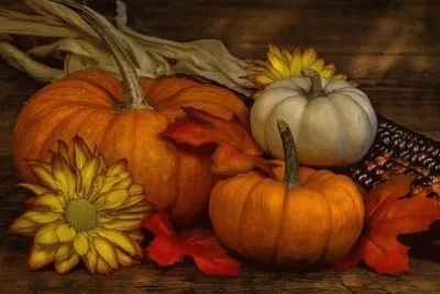 Fall Still Life
