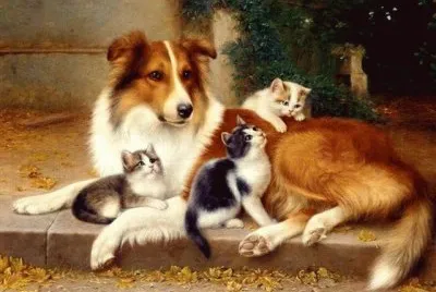 animais jigsaw puzzle