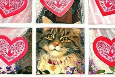 gato jigsaw puzzle