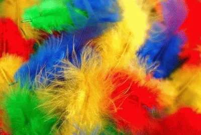 colors