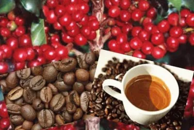 CafÃ©