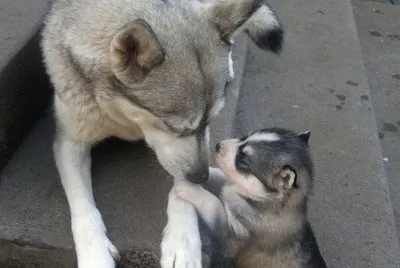love-3