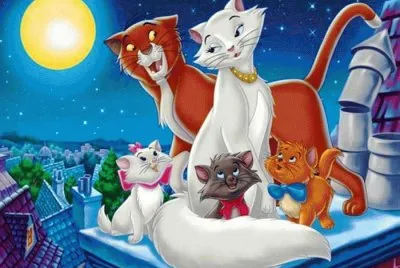 gatos
