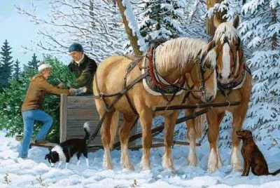 cavalos