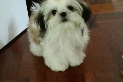 Milly