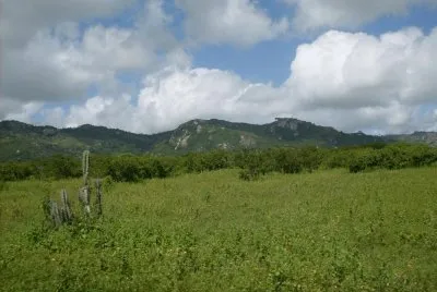 Paisagem Pernambucana - PE