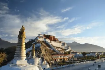 LHASA. jigsaw puzzle