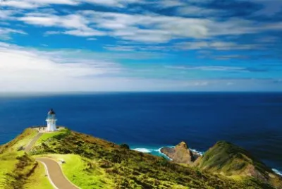 nz1