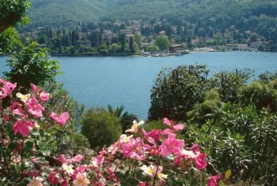 פאזל של NÂº 373