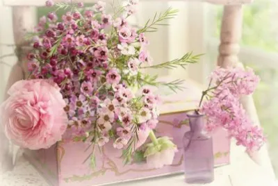 פאזל של Flores