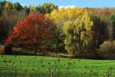 פאזל של Paisagem