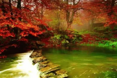 פאזל של Paisagem