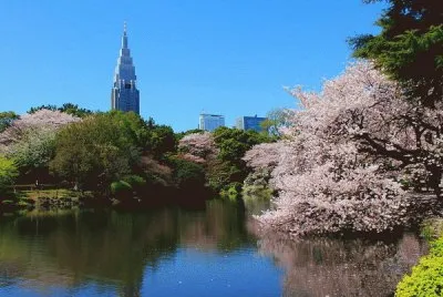 פאזל של SERENITY