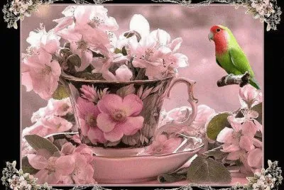 פאזל של bird