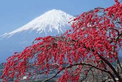 פאזל של Paisatje