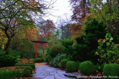 פאזל של jardim