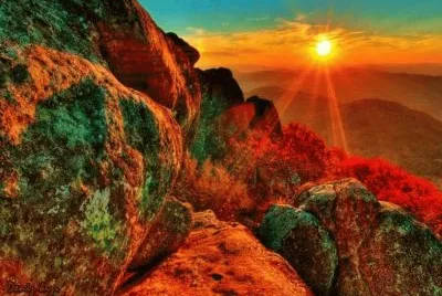 natureza jigsaw puzzle