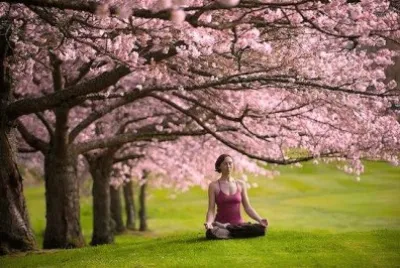 YOGUI BAJO LOS CEREZOS. jigsaw puzzle