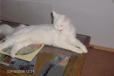 Lumpi na mizi