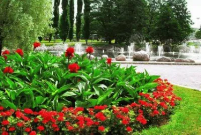 פאזל של Jardins