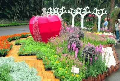 פאזל של èŠèŠ±