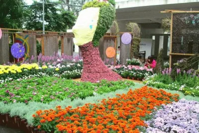 פאזל של èŠèŠ±