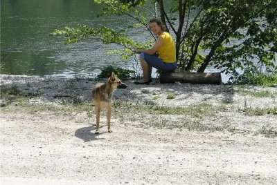 Dogy- Lina